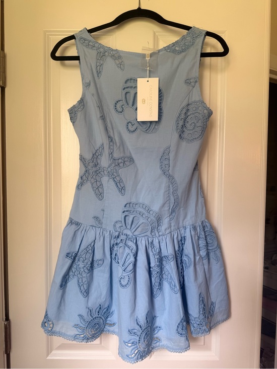 Caroline Constas Dresses & Skirts - Caroline Constas Light Blue Embroidered Sundress